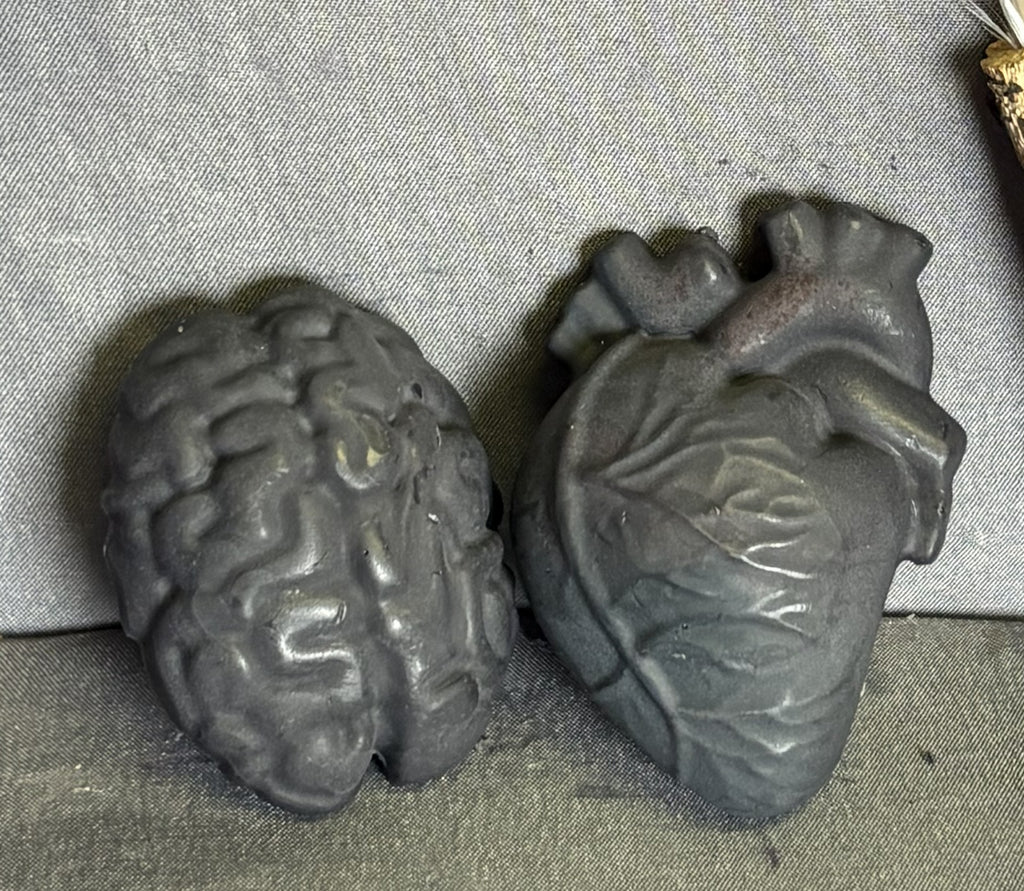 Heart & Brain Soap Bar Set – Anatomical Handmade Novelty Soaps