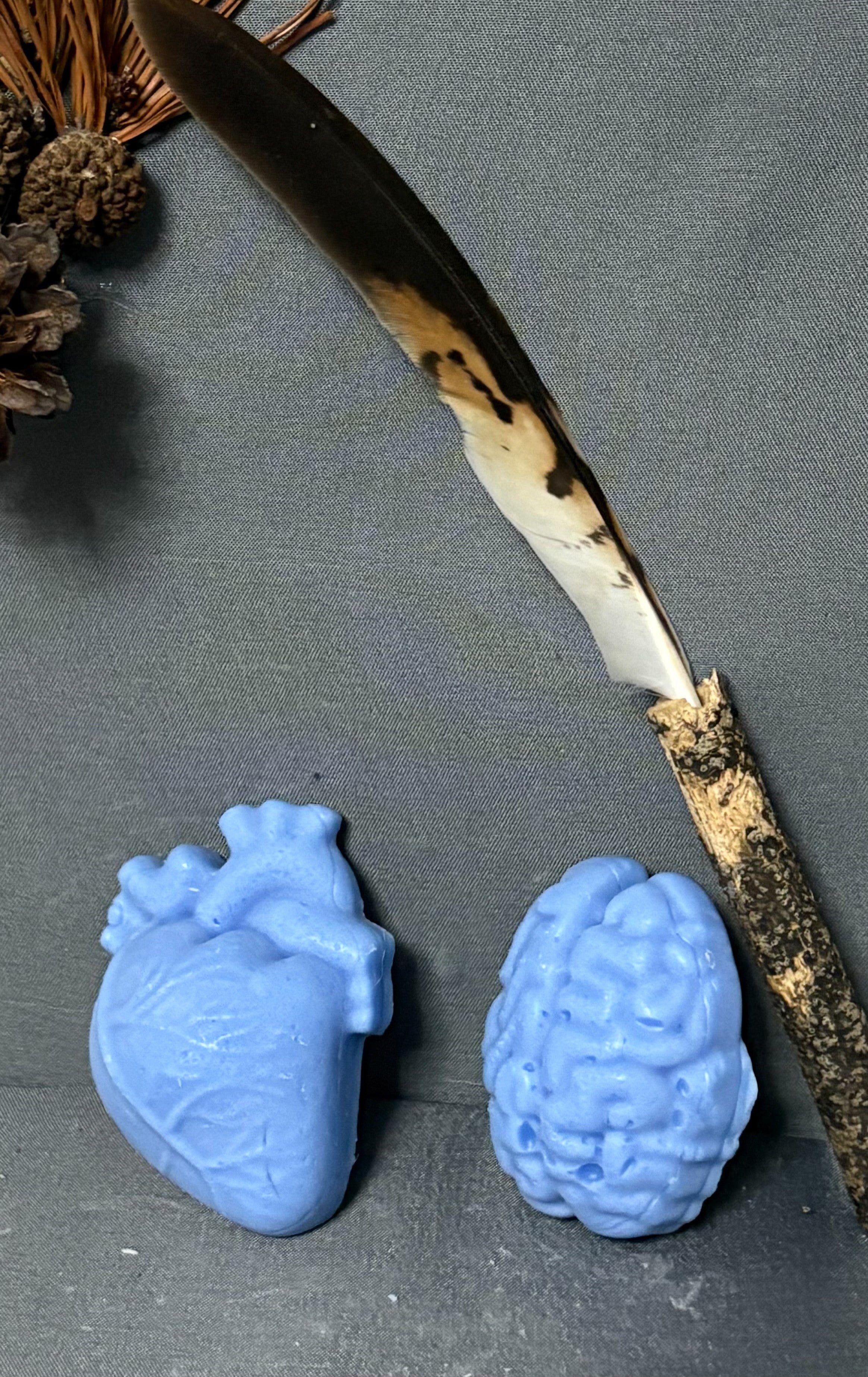 Heart & Brain Soap Bar Set – Anatomical Handmade Novelty Soaps