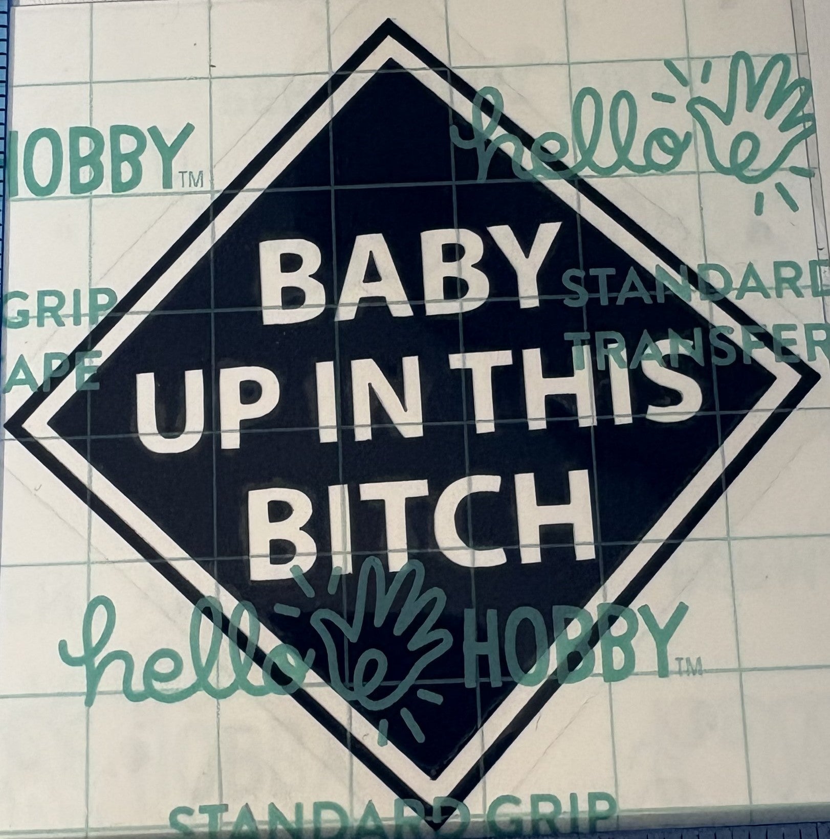 Baby Up in This B** Vinyl Decal**